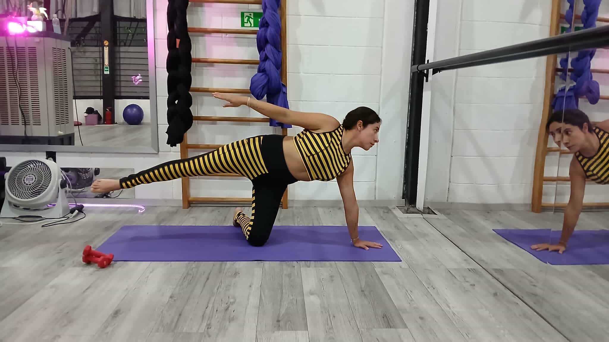 Conjunto Estampado Abeja: imagen 3