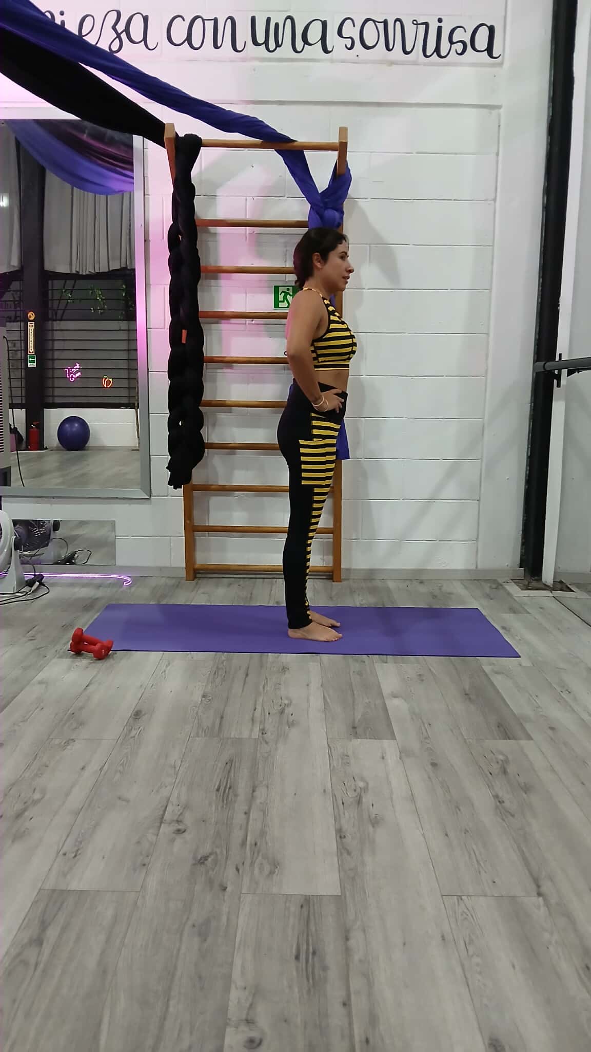 Conjunto Estampado Abeja: imagen 2