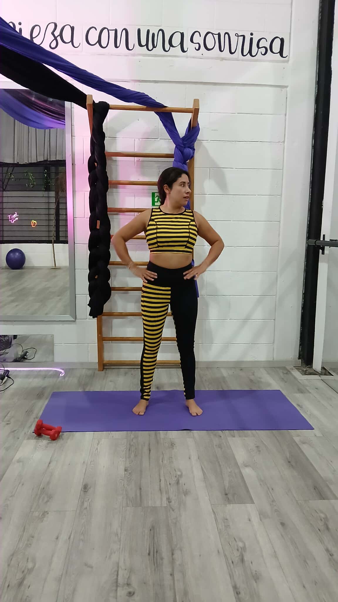 Conjunto Estampado Abeja: imagen 1